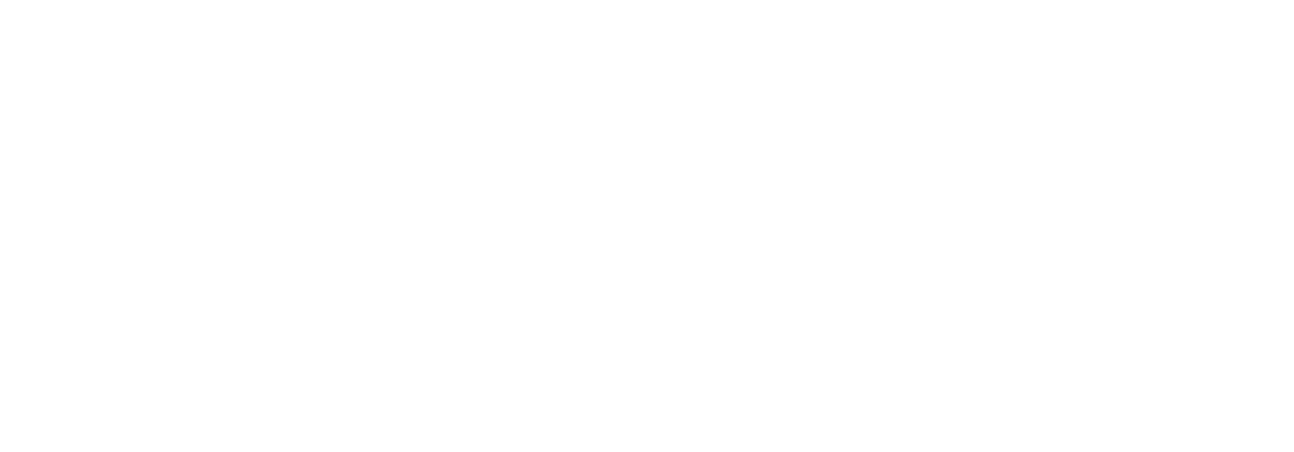 Serial logo