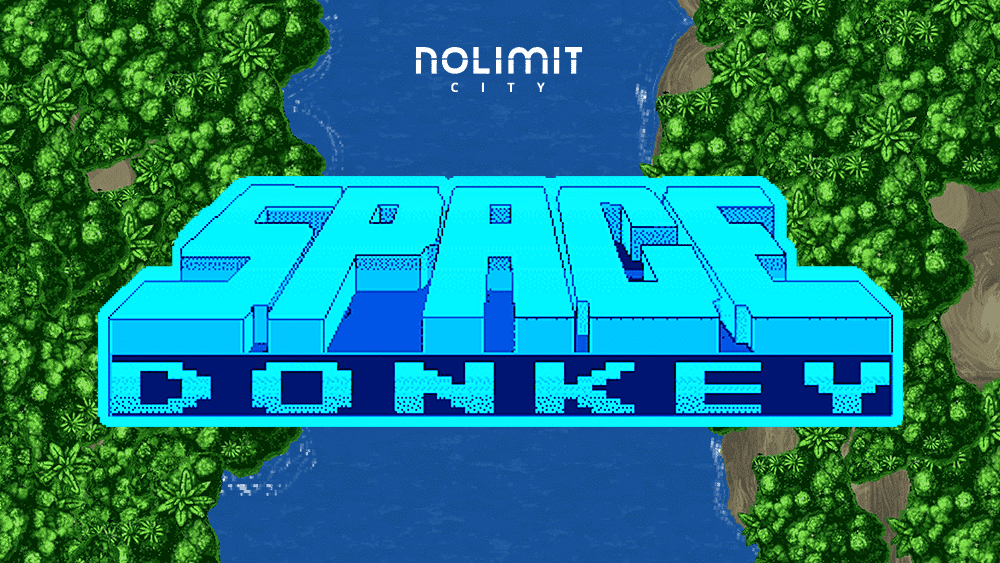 Space Donkey