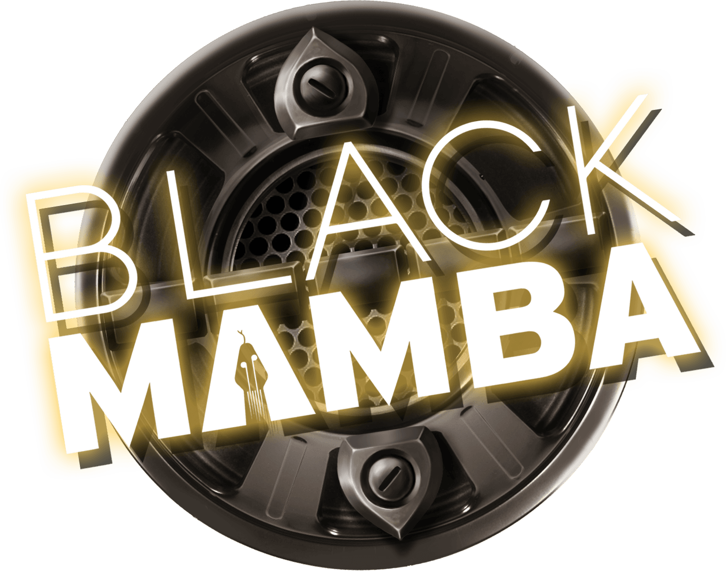 Black Mamba logo