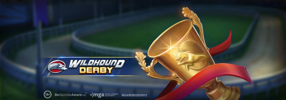 Wildhound Derby