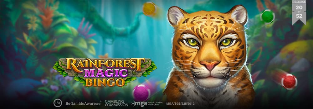 Rainforest Magic Bingo