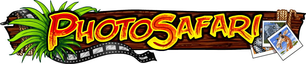 Photo Safari logo