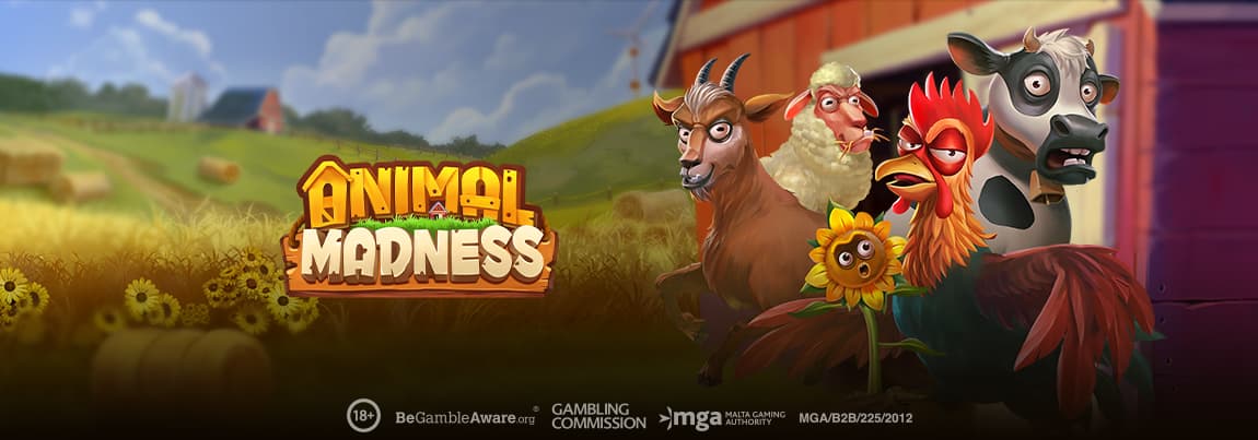 Animal Madness
