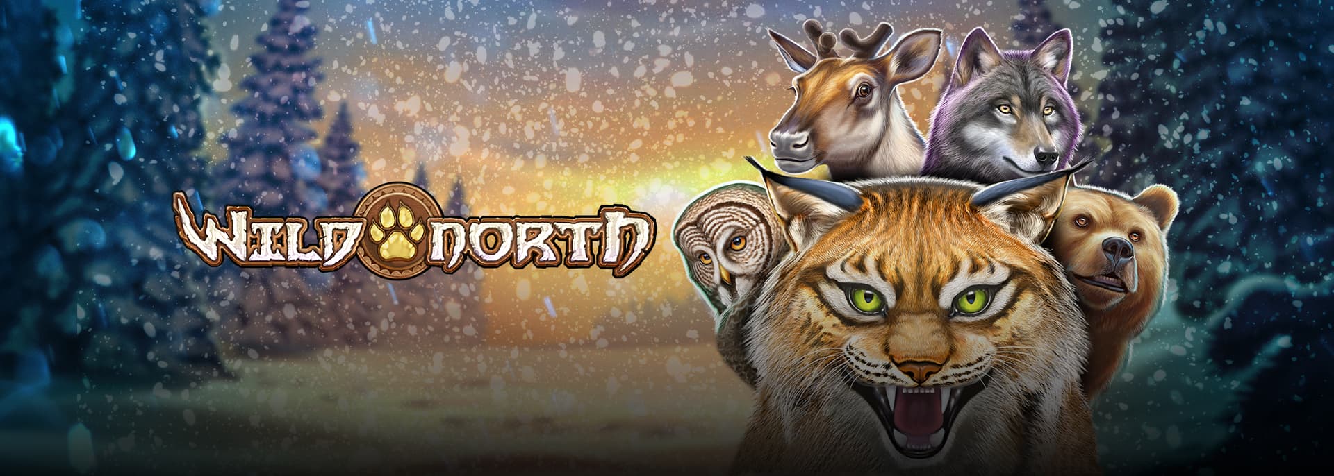 Wild North