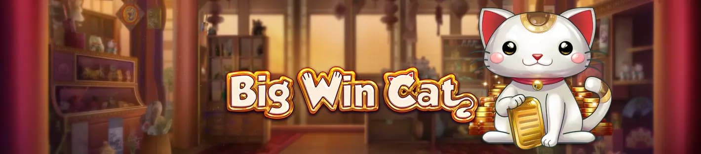 Big Win Cat