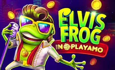Elvis Frog In PlayAmo