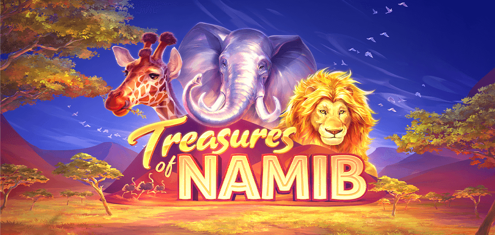 TREASURES OF NAMIB